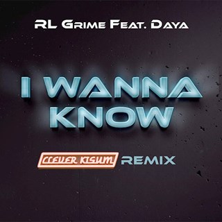 I Wanna Know by Rl Grime ft Daya Download