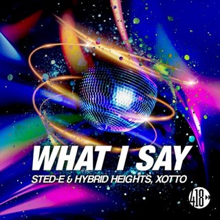 What I Say by Sted E & Hybrid Heights ft Xotto Download
