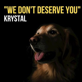 We Dont Deserve You by Krystal Download
