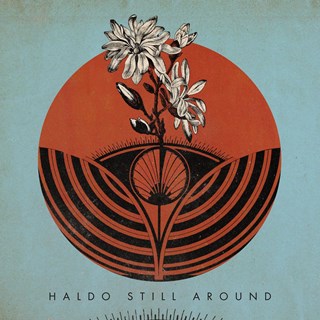Still Around by Haldo Download
