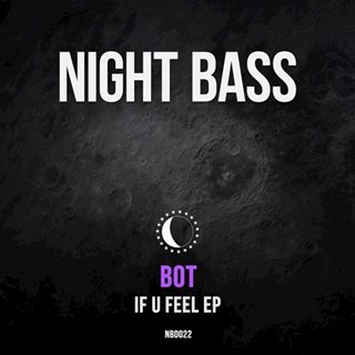 If U Feel by Bot & Kaleena Zanders Download
