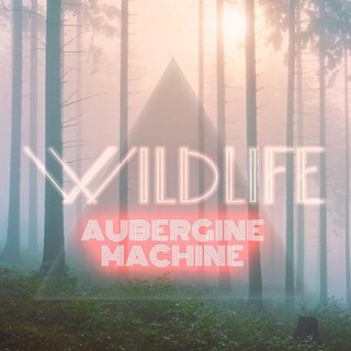 Wailin by Aubergine Machine Download