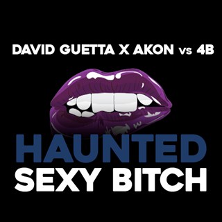 Haunted Sexy Bitch by David Guetta & Akon vs 4B Download