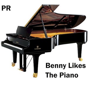 Benny Likes The Piano by Pr Download