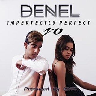Imperfectly Perfect by Denel Download
