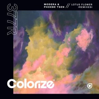 Lotus Flower by Modera & Phoebe Tsen Download