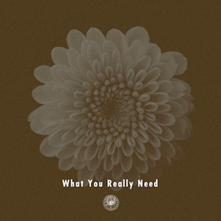 What You Really Need by Ampm Download