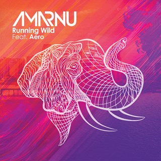 Running Wild by Amarnu ft Aero Download