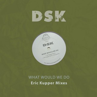 What Would We Do by DSK Download