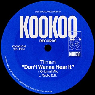 Dont Wanna Hear It by Tilman Download