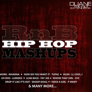 Get Me Home vs How Do You Want It by Duane The Indi Download