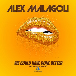 We Could Have Done Better by Alex Malagoli Download