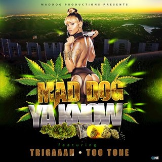 Ya Know by Maddog ft Trigaaah & Too Tone Download