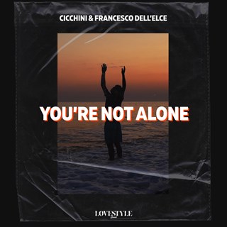 Youre Not Alone by Cicchini & Francesco Dellelce Download