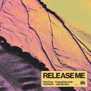 Release Me by Pete Tong, Poppy Baskcomb, Paul Harris ft Jules Buckley Download