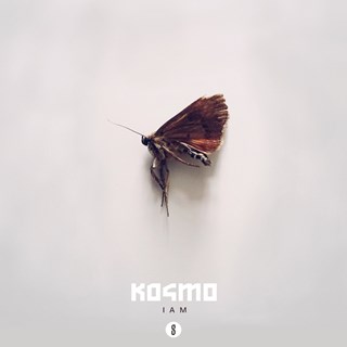 I Am by Kosmo Download