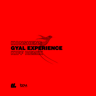 Gyal Experience by Konshens Download