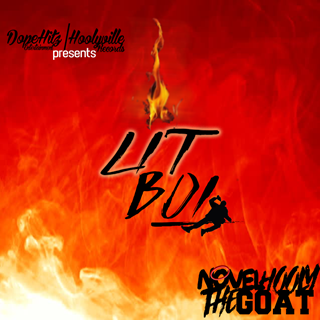 Litboi by Novel Hooly The Goat Download