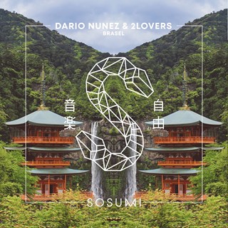 Brasel by Dario Nunez & 2 Lovers Download