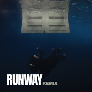 Lunch Runway Remix by Billie Eilish Download