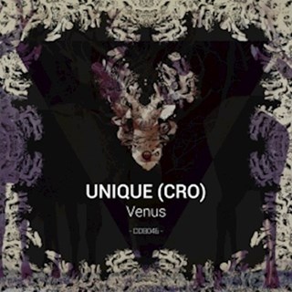 Im Your Passenger by Unique Cro Download