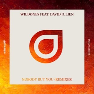 Nobody But You by Wild Ones ft David Julien Download