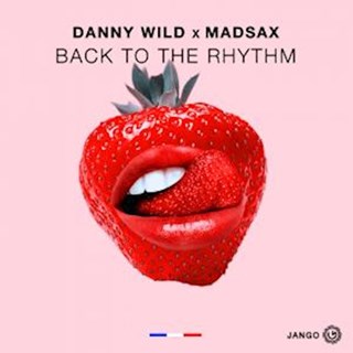 Back To The Rhythm by Danny Wild & Madsax Download