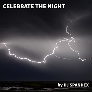 Celebrate The Night by DJ Spandex Download