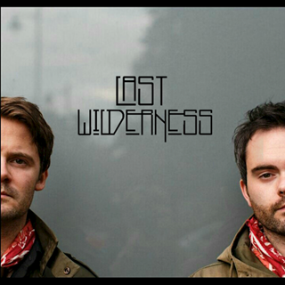 The Otherside by Last Wilderness ft Laurence Juber Download