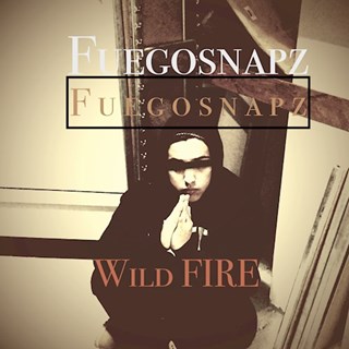 Wild Fire by Fuego Snapz Download