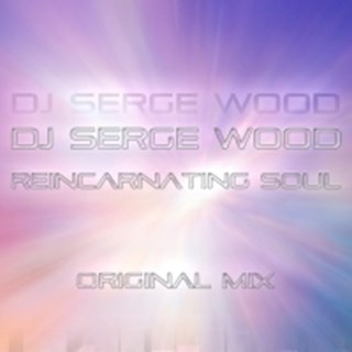 Reincarnating Soul by DJ Serge Wood Download