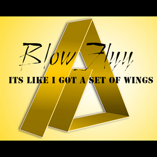 U Know U Like It by Blow Flyy Download