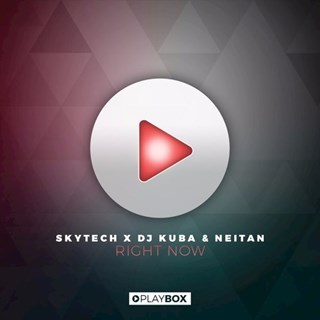 Deep Down Low Right Now by Skytech X DJ Kuba & Neitan vs Valentino Khan Download