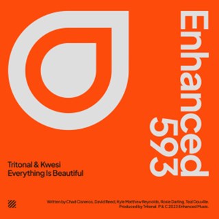 Everything Is Beautiful by Tritonal & Kwesi Download