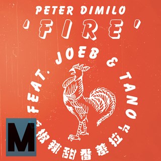 Fire by Peter Dimilo ft Joeb & Tano Download