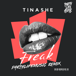 Nasty by Tinashe Download