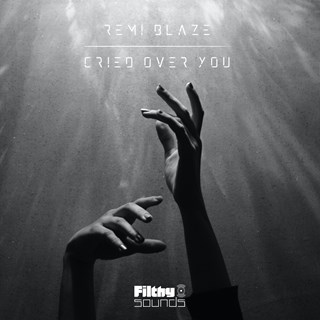 Cried Over You by Remi Blaze Download