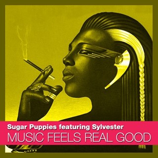 Music Feels Real Good by Sugar Puppies ft Sylvester Download