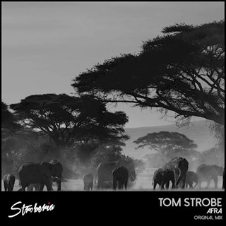 Afra Stroberia by Tom Strobe Download