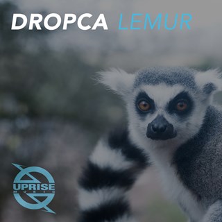 Lemur by Dropca Download