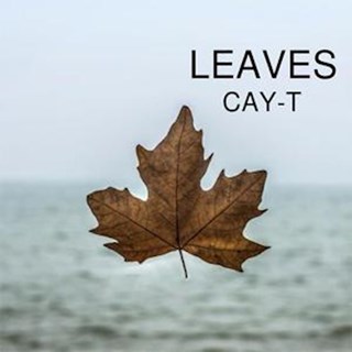 Leaves by Cayt Download