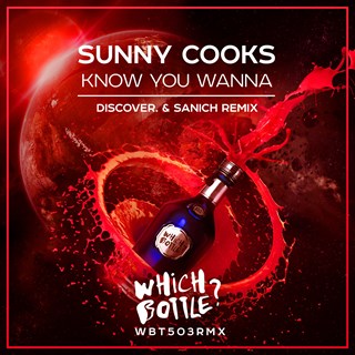Know You Wanna by Sunny Cooks Download