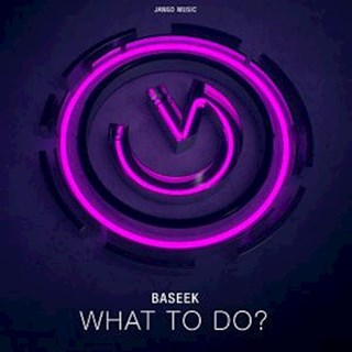 What To Do by Baseek Download