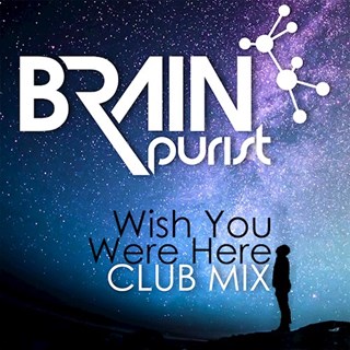 Wish You Were Here by Brain Purist Download