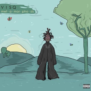 You Wrong by Visq Download