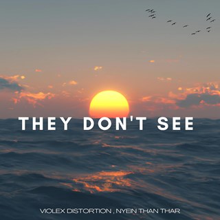 They Dont See Dance Version by Violex Distortion , Nyein Than Thar Download