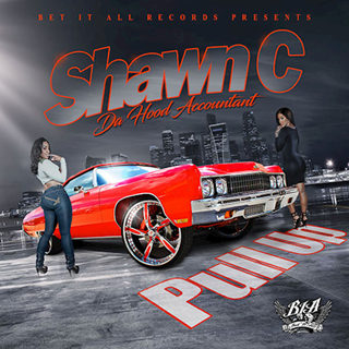 Pull Up by Shawn C Da Hood Accountant Download