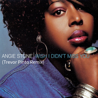 Wish I Didnt Miss You by Angie Stone, Trevor Pinto Download