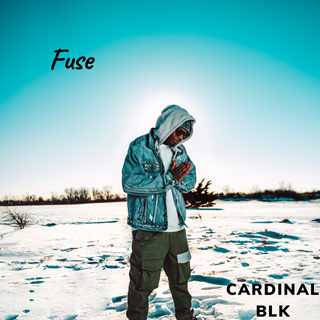 Fuse by Cardinal BLK Download