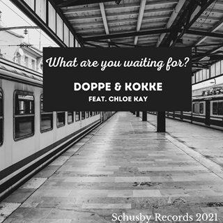 What Are You Waiting For by Doppe & Kokke Download